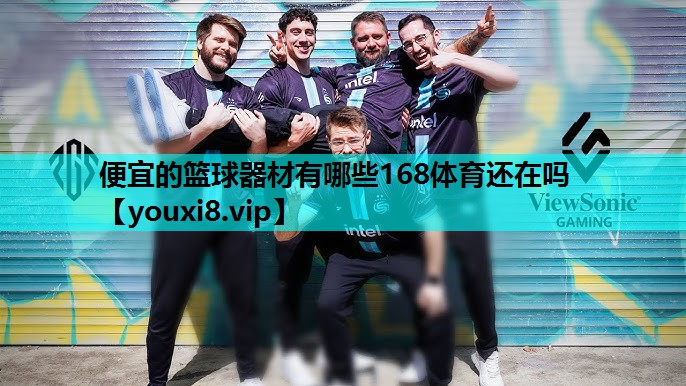 便宜的篮球器材有哪些168体育还在吗