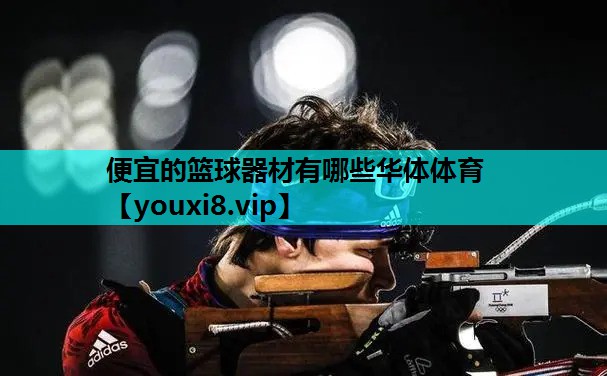 便宜的篮球器材有哪些华体体育