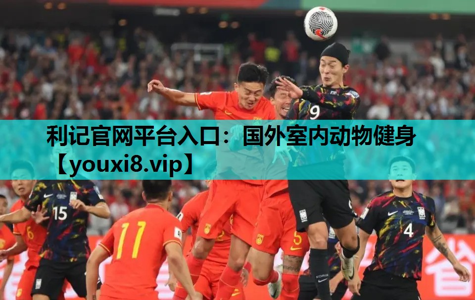 利记官网平台入口：国外室内动物健身